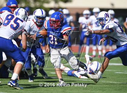 Thumbnail 1 in Nonnewaug @ Coginchaug Regional photogallery.