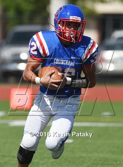 Thumbnail 2 in Nonnewaug @ Coginchaug Regional photogallery.