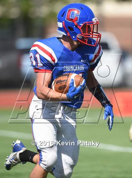 Thumbnail 3 in Nonnewaug @ Coginchaug Regional photogallery.