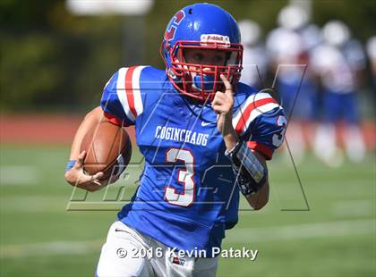 Thumbnail 1 in Nonnewaug @ Coginchaug Regional photogallery.