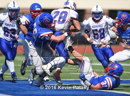 Thumbnail 1 in Nonnewaug @ Coginchaug Regional photogallery.