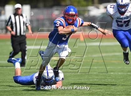 Thumbnail 1 in Nonnewaug @ Coginchaug Regional photogallery.