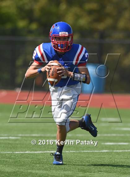 Thumbnail 3 in Nonnewaug @ Coginchaug Regional photogallery.