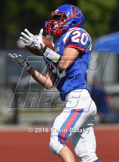 Thumbnail 3 in Nonnewaug @ Coginchaug Regional photogallery.