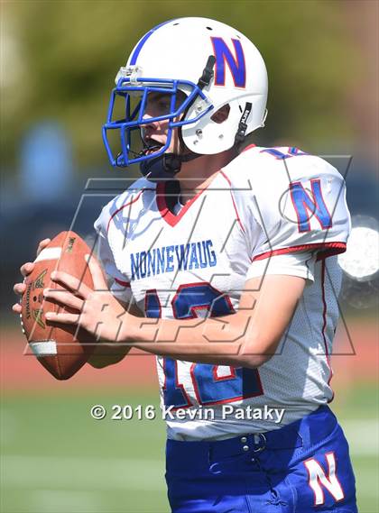 Thumbnail 3 in Nonnewaug @ Coginchaug Regional photogallery.