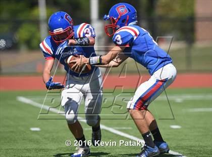 Thumbnail 2 in Nonnewaug @ Coginchaug Regional photogallery.