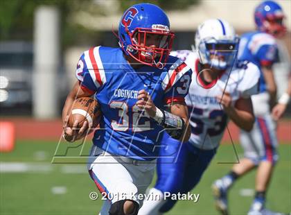 Thumbnail 3 in Nonnewaug @ Coginchaug Regional photogallery.