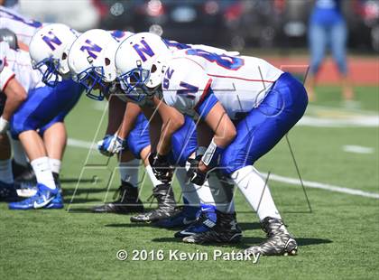 Thumbnail 1 in Nonnewaug @ Coginchaug Regional photogallery.