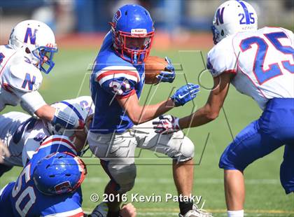 Thumbnail 1 in Nonnewaug @ Coginchaug Regional photogallery.