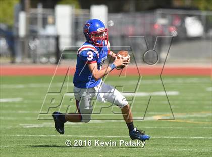Thumbnail 3 in Nonnewaug @ Coginchaug Regional photogallery.