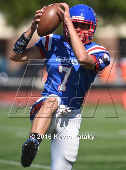 Thumbnail 2 in Nonnewaug @ Coginchaug Regional photogallery.