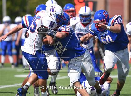 Thumbnail 1 in Nonnewaug @ Coginchaug Regional photogallery.