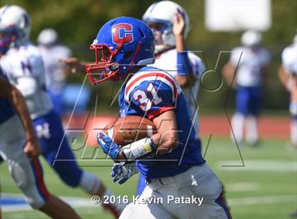 Thumbnail 1 in Nonnewaug @ Coginchaug Regional photogallery.