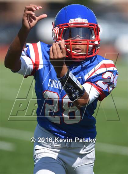 Thumbnail 2 in Nonnewaug @ Coginchaug Regional photogallery.
