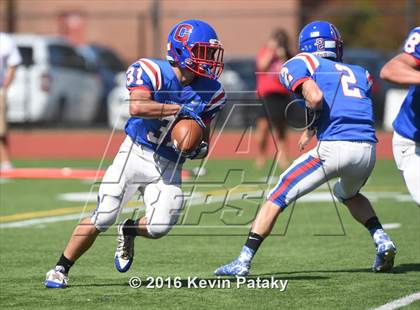 Thumbnail 1 in Nonnewaug @ Coginchaug Regional photogallery.