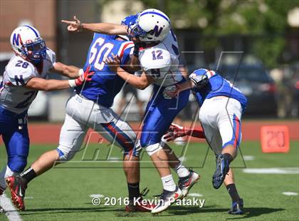 Thumbnail 1 in Nonnewaug @ Coginchaug Regional photogallery.