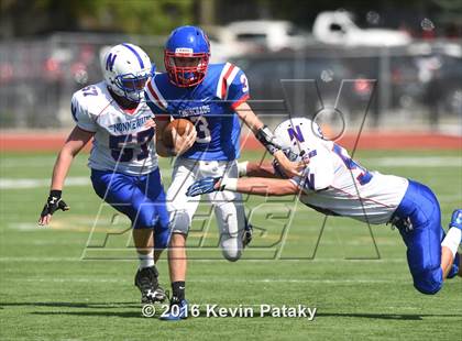 Thumbnail 1 in Nonnewaug @ Coginchaug Regional photogallery.