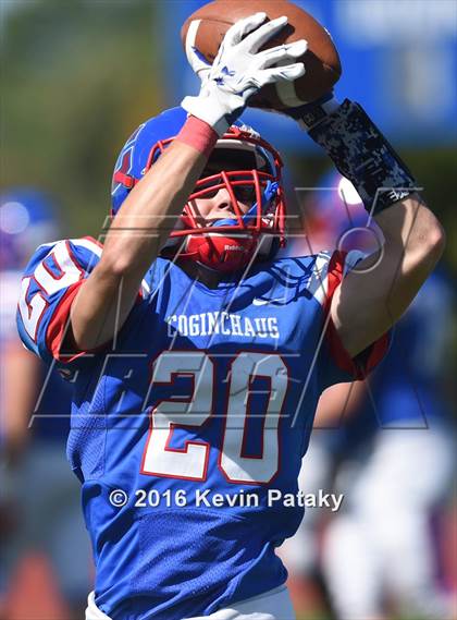 Thumbnail 2 in Nonnewaug @ Coginchaug Regional photogallery.