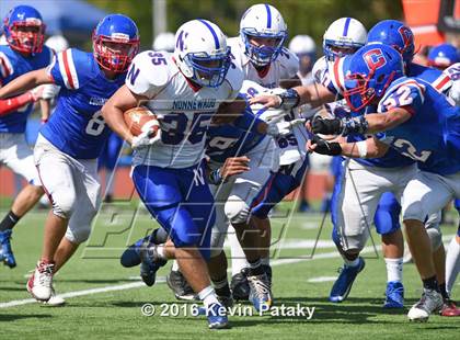 Thumbnail 1 in Nonnewaug @ Coginchaug Regional photogallery.