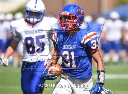 Thumbnail 3 in Nonnewaug @ Coginchaug Regional photogallery.