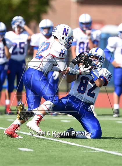 Thumbnail 1 in Nonnewaug @ Coginchaug Regional photogallery.