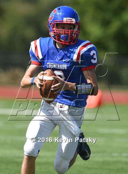 Thumbnail 1 in Nonnewaug @ Coginchaug Regional photogallery.