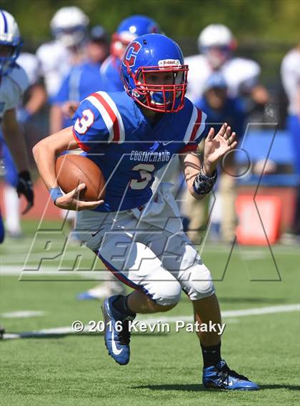 Thumbnail 3 in Nonnewaug @ Coginchaug Regional photogallery.