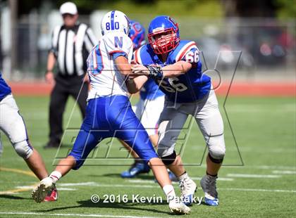 Thumbnail 3 in Nonnewaug @ Coginchaug Regional photogallery.