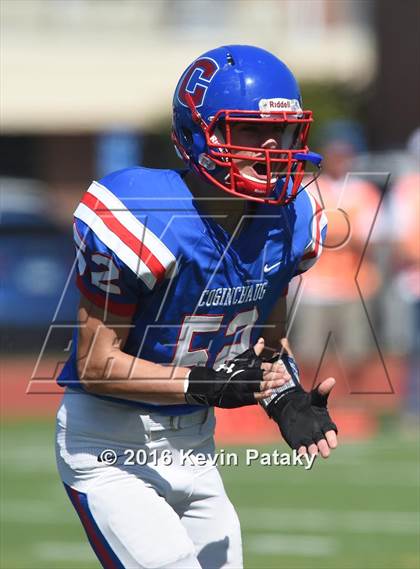 Thumbnail 2 in Nonnewaug @ Coginchaug Regional photogallery.