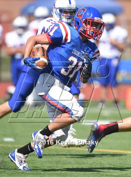 Thumbnail 2 in Nonnewaug @ Coginchaug Regional photogallery.