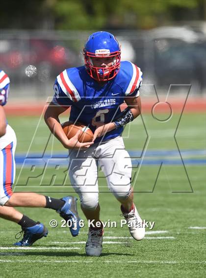 Thumbnail 3 in Nonnewaug @ Coginchaug Regional photogallery.