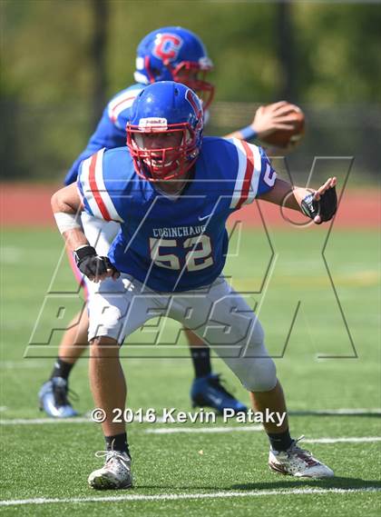 Thumbnail 3 in Nonnewaug @ Coginchaug Regional photogallery.