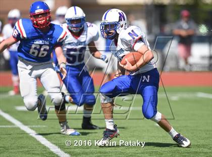 Thumbnail 1 in Nonnewaug @ Coginchaug Regional photogallery.