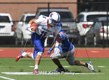 Thumbnail 1 in Nonnewaug @ Coginchaug Regional photogallery.