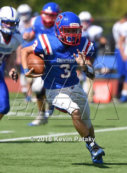 Thumbnail 1 in Nonnewaug @ Coginchaug Regional photogallery.