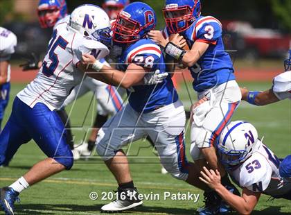 Thumbnail 1 in Nonnewaug @ Coginchaug Regional photogallery.