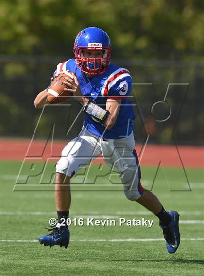 Thumbnail 1 in Nonnewaug @ Coginchaug Regional photogallery.
