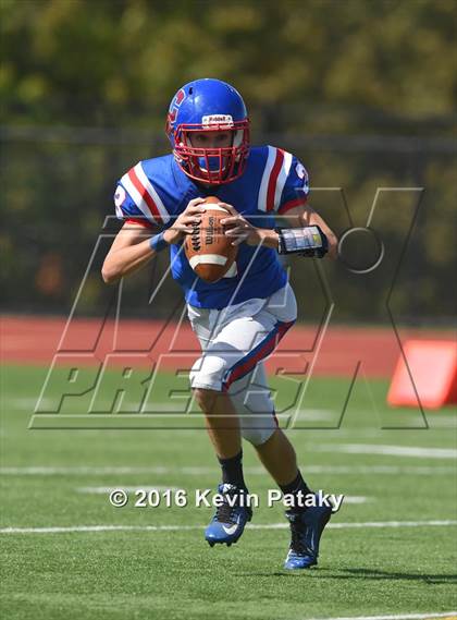 Thumbnail 2 in Nonnewaug @ Coginchaug Regional photogallery.