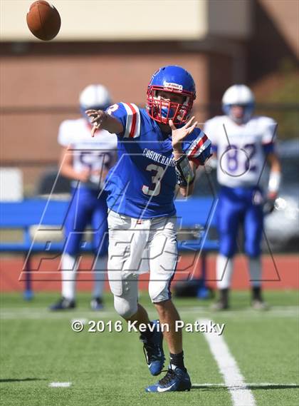 Thumbnail 1 in Nonnewaug @ Coginchaug Regional photogallery.