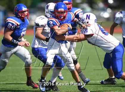 Thumbnail 1 in Nonnewaug @ Coginchaug Regional photogallery.