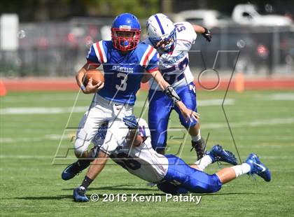 Thumbnail 1 in Nonnewaug @ Coginchaug Regional photogallery.