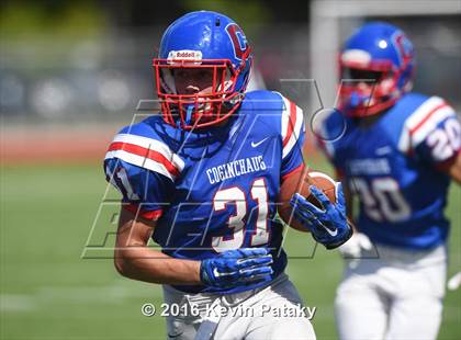 Thumbnail 1 in Nonnewaug @ Coginchaug Regional photogallery.