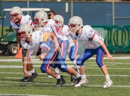 Thumbnail 1 in Roncalli @ Indianapolis Bishop Chatard photogallery.