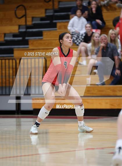 Thumbnail 3 in Castle View @ Regis Jesuit photogallery.