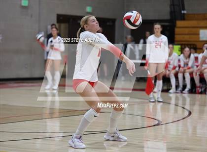 Thumbnail 3 in Castle View @ Regis Jesuit photogallery.