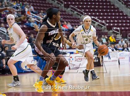 Thumbnail 1 in Neumann-Goretti vs. Seton LaSalle (PIAA Class AA Final) photogallery.