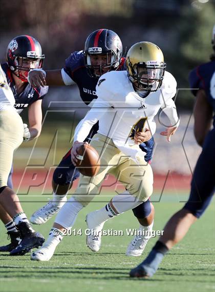 Thumbnail 3 in Skyline @ Woods Cross (UHSAA 4A Quarterfinal) photogallery.