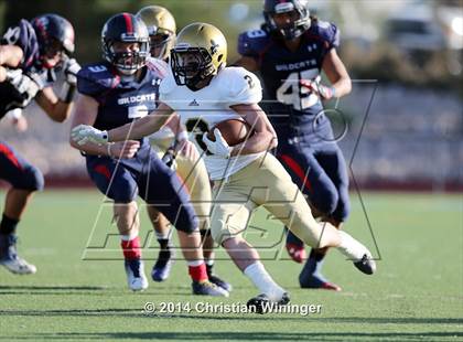Thumbnail 1 in Skyline @ Woods Cross (UHSAA 4A Quarterfinal) photogallery.