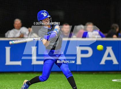 Thumbnail 1 in Spring Hill vs Alba-Golden photogallery.