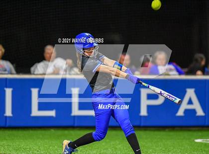 Thumbnail 2 in Spring Hill vs Alba-Golden photogallery.